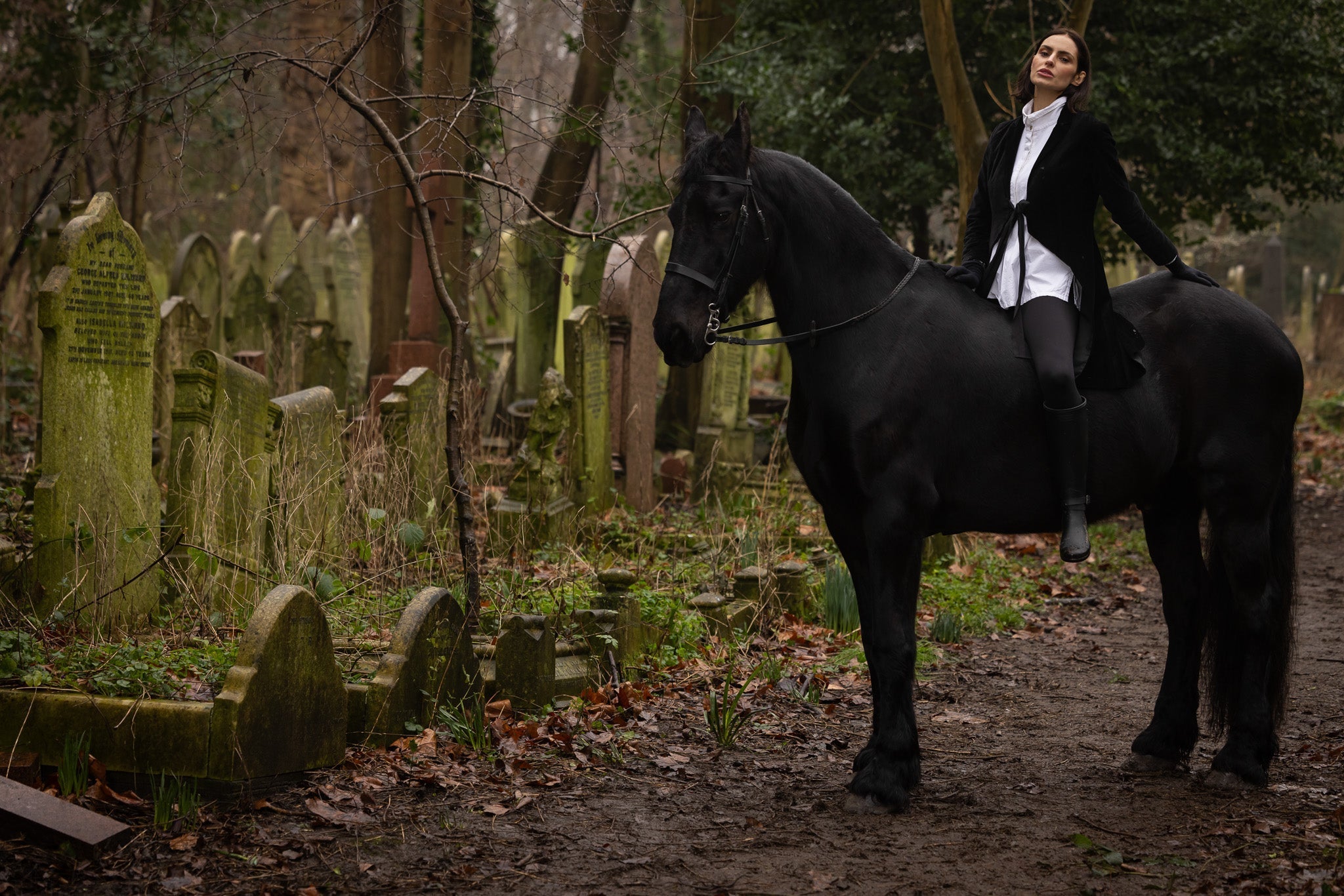 The Arc - MegbyDesign