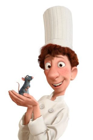Ratatouille Shirt - Cotton Poplin - MegbyDesign